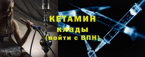 шишки Бородино
