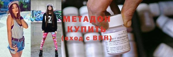 шишки Бородино