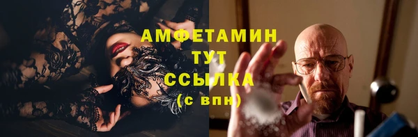 шишки Бородино