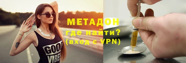 шишки Бородино