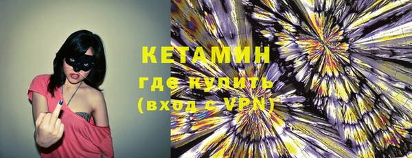 шишки Бородино