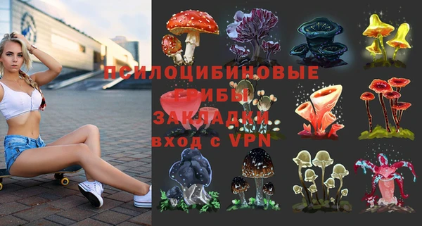 эйфоретик Бронницы