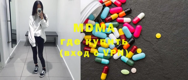 шишки Бородино