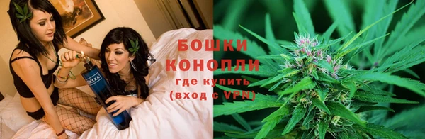 шишки Бородино